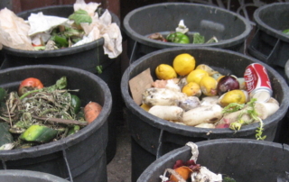FINAL-Food waste-WEB