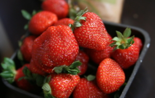 FINAL-Strawberries-QuinnDombrowski-WEB