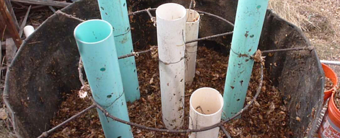 FINAL-Johnson-Su Bioreactor compost-WEB