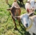 FINAL-Madd House Hill goats2-WEB