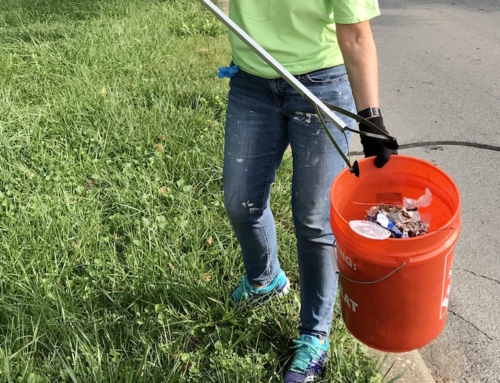 Volunteer to help KC tackle street litter