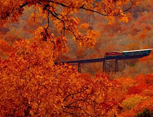 Escape to best places for fall foliage & wildlife