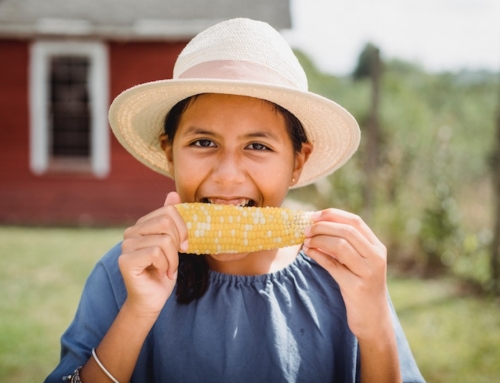 Savor summer: The Amaizing Sweet Corn Festival returns