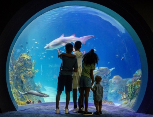 Kansas City Zoo’s new aquarium celebrates LEED Certification